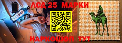 прущие грибы Малгобек