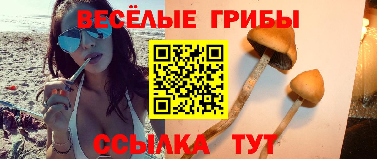 Галлюциногенные грибы Psilocybine cubensis  Псилоцибиновые грибы GOLDEN TEACHER  Вход с VPN  Усолье-Сибирское 
